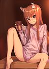 Horoyoi Ecchibon обложка